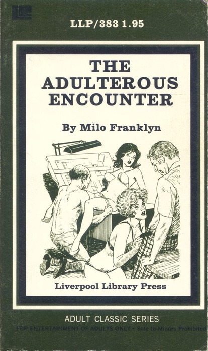 The Adulterous Encounter by Milo Franklyn - Ebook 