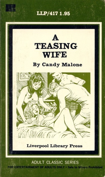 A Teasing Wife by Candy Malone - Ebook 