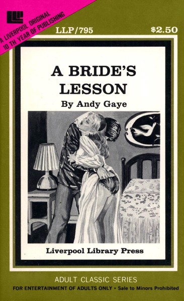 A Bride's Lesson by Andy Gaye - Ebook