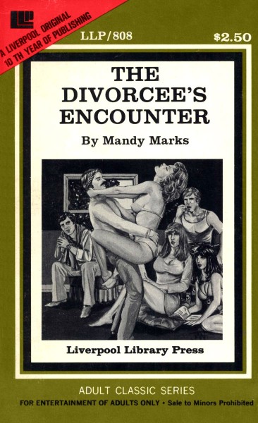 The Divorcee's Encounter by Mandy Marks - Ebook
