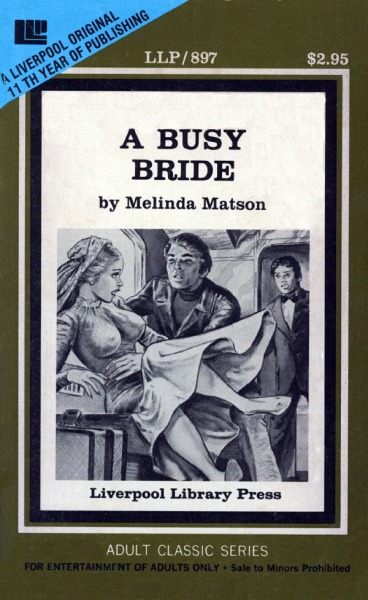 A Busy Bride by Melinda Matson - Ebook