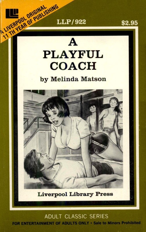 A Playful Coach by Melinda Matson - Ebook 