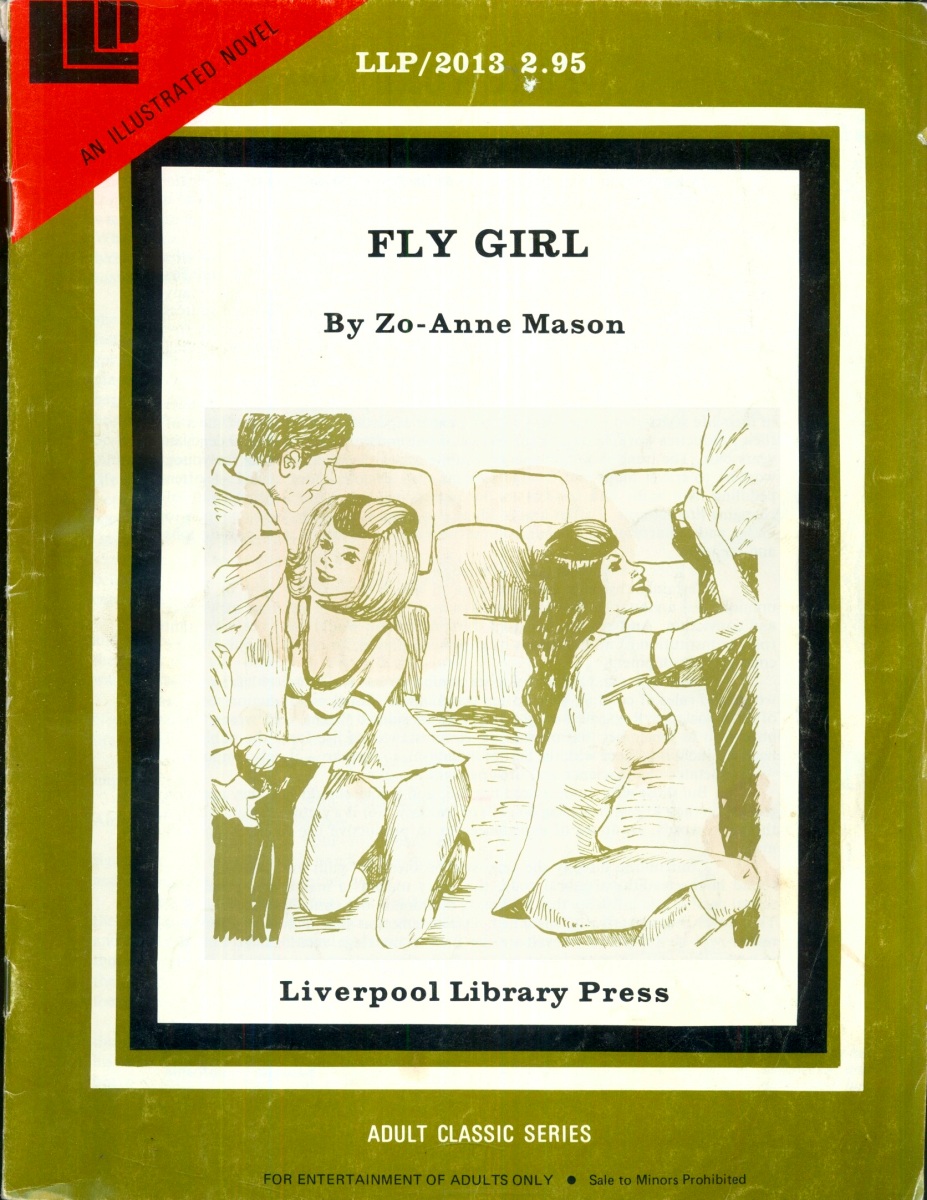 Fly Girl by Zo-Anne Mason - Ebook
