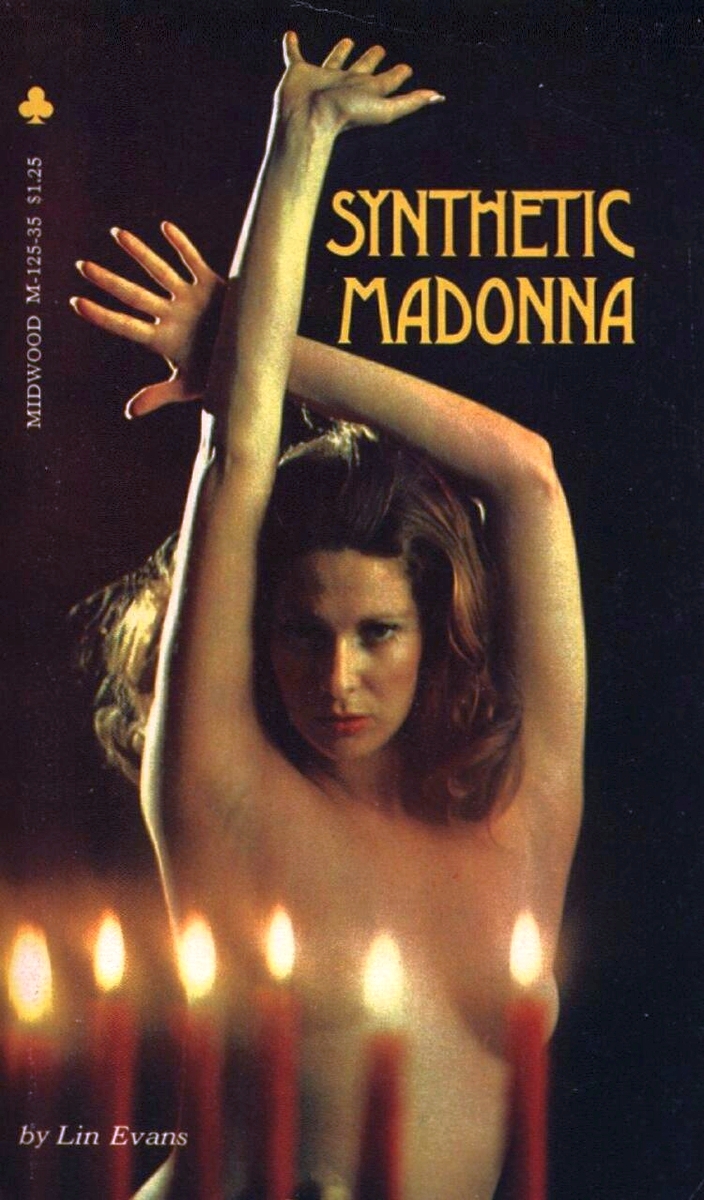 Synthetic Madonna by Lin Evans - Ebook