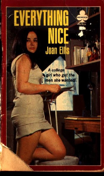 Everything Nice by Joan Ellis - Ebook