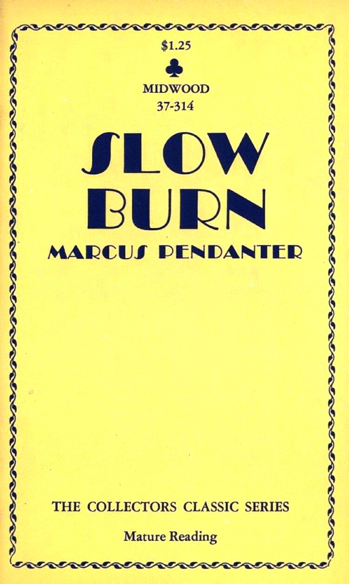 Slow Burn by Marcus Pendanter - Ebook