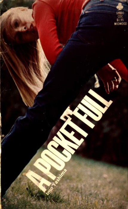 A Pocket Full by Imo Yashima - Ebook 