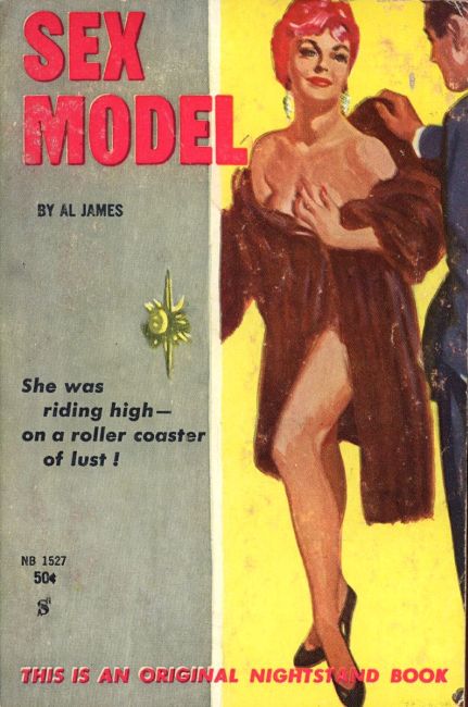 Sex Model by Al James - Ebook 