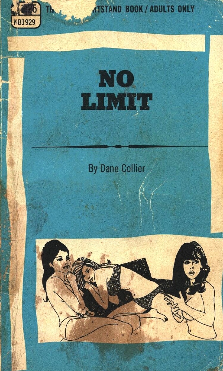 No Limit by Dane Collier - Ebook