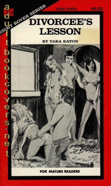 Divorcees Lesson by Tara Eaton - Ebook 