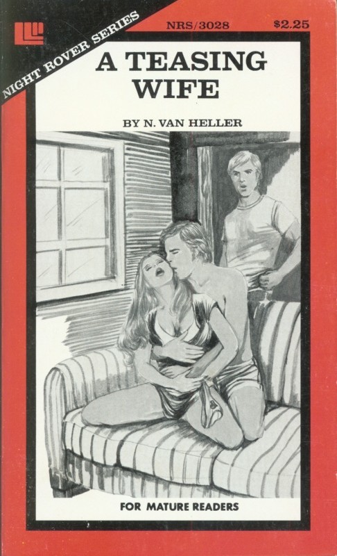 A Teasing Wife by N. Van Heller - Ebook 