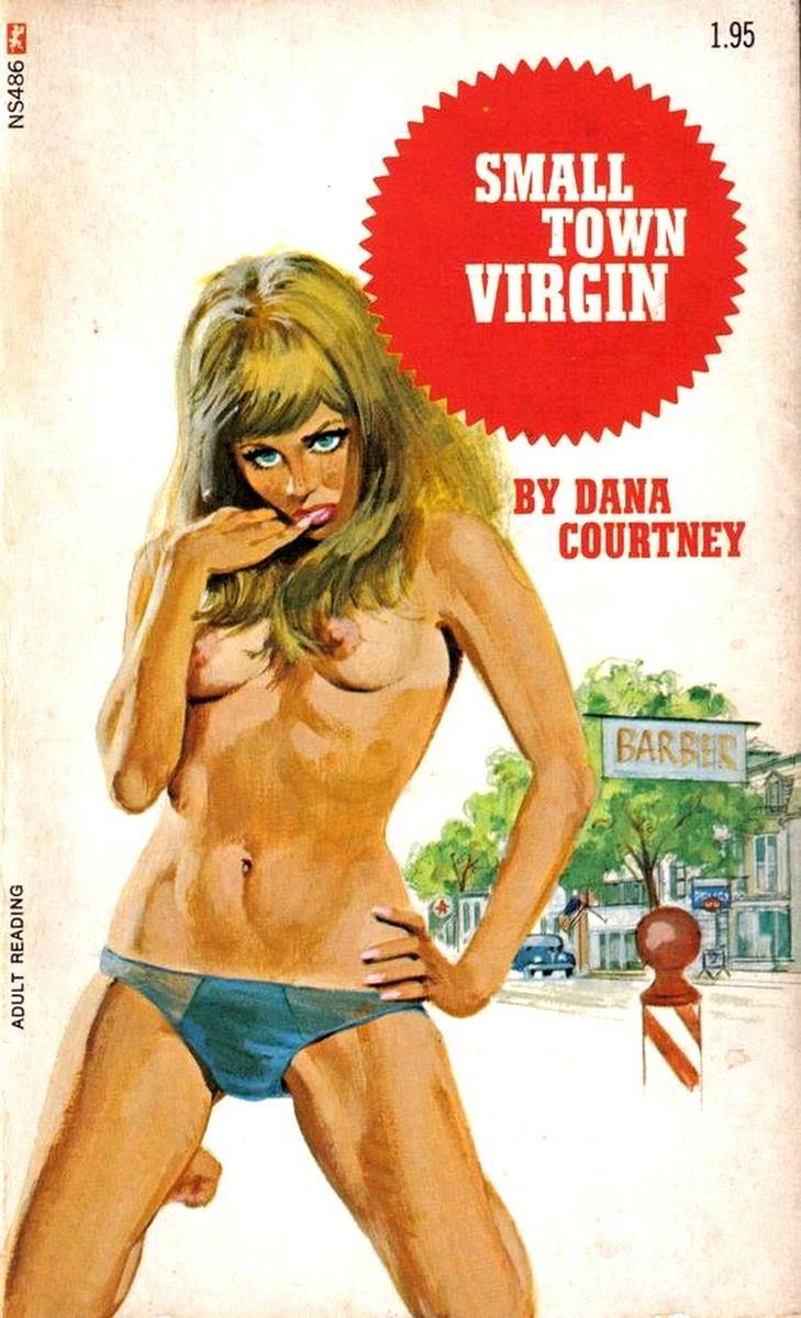 Small Town Virgin by Dana Courtney - Ebook