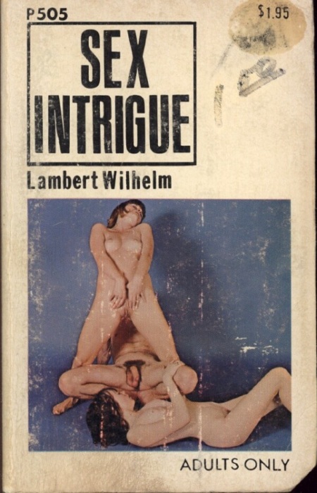 Sex Intrigue by Lambert Wilhelm - Ebook