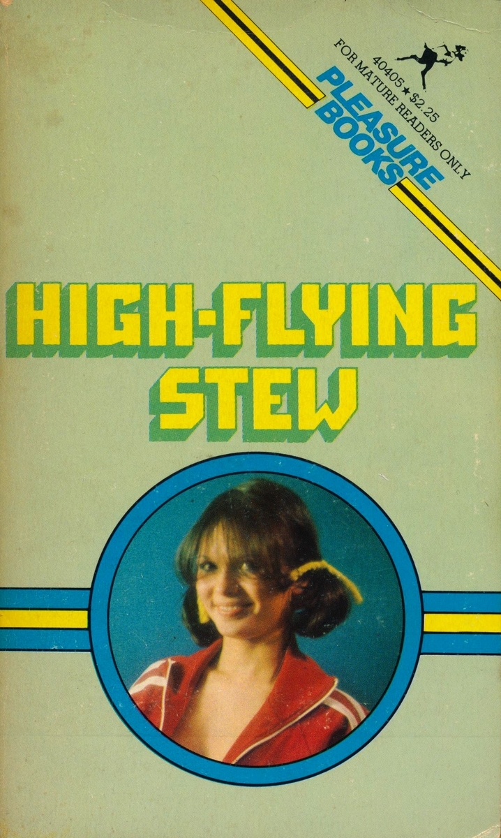 High-Flying Stew by Harriet Sommers - Ebook