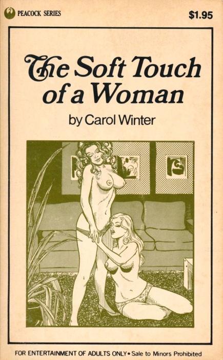 The Soft Touch Of A Woman by Carol Winter - Ebook 
