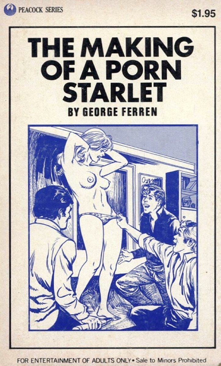 The Making Of A Porn Starlet  by George Ferren - Ebook