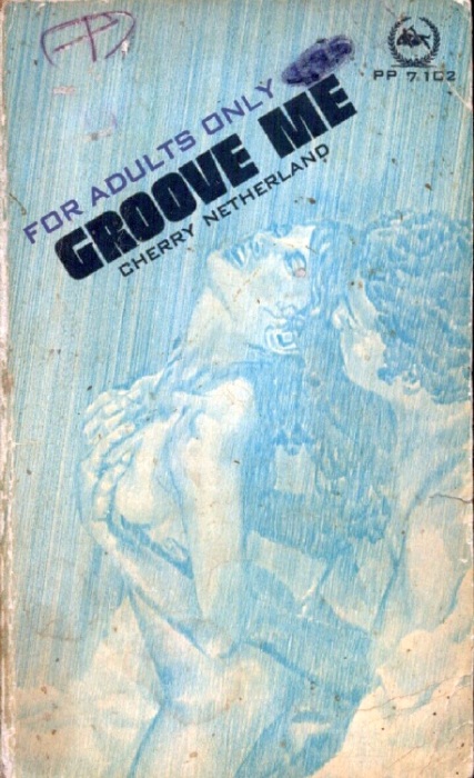 Groove Me by Cherry Netherland - Ebook 