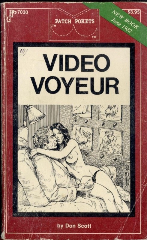 Video Voyeur by Don Scott - Ebook 