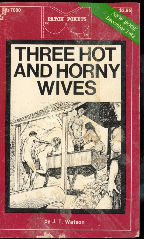 Three Hot And Horny Wives by JT Watson - Ebook 