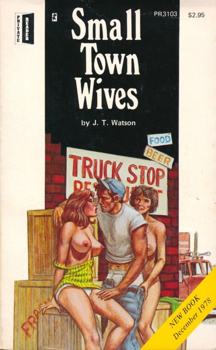 Small Town Wives by J.T. Watson - Ebook