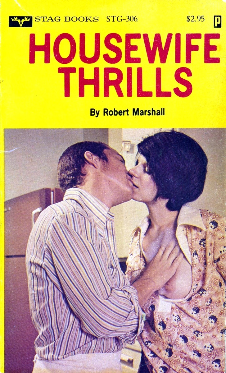 Housewife Thrills by Robert Marshall - Ebook