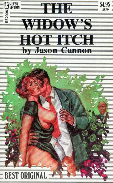 The Widow's Hot Itch by Jason Cannon - Ebook 