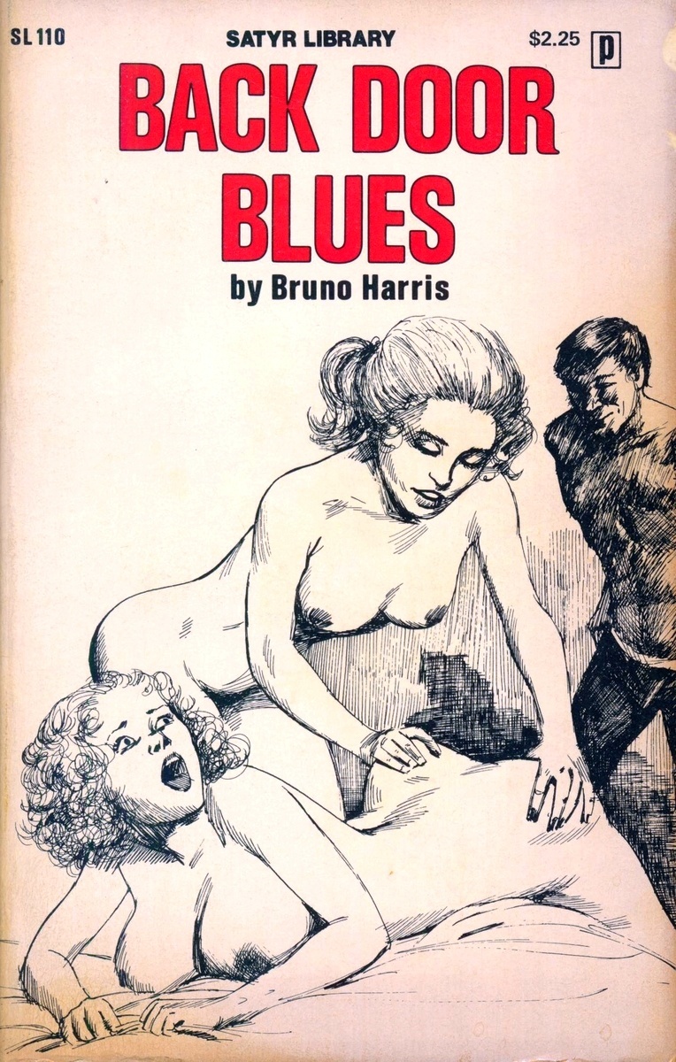Back Door Blues by Bruno Harris - Ebook
