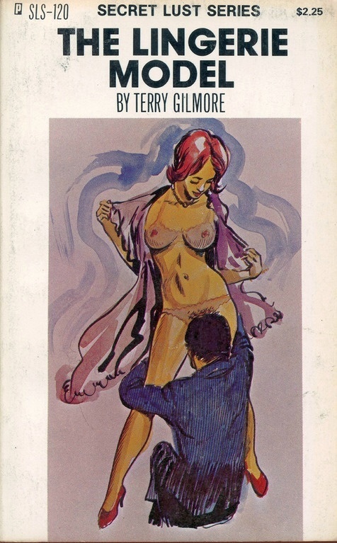 Lingerie Model by Terry Gilmore - Ebook
