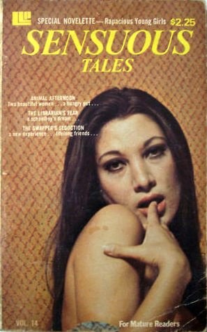 Sensuous Tales Vol 14 - Ebook 