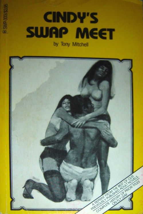 Cindy's Swap Meet by Toni Mitchell - Ebook