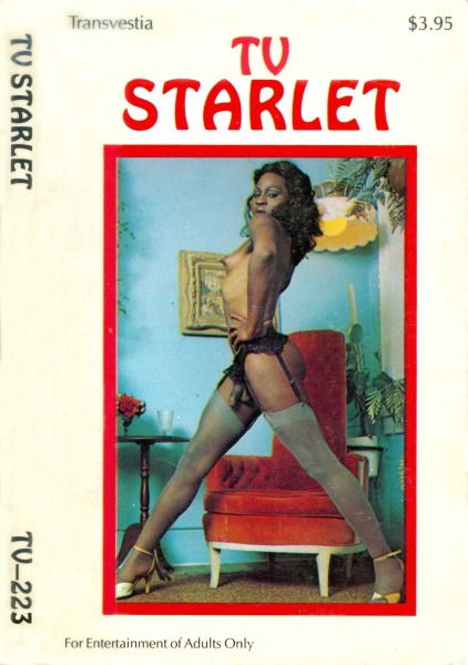TV Starlet - Ebook