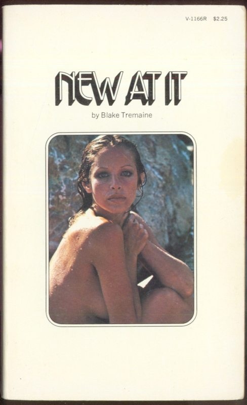 New At It by Blake Tremaine - Ebook 