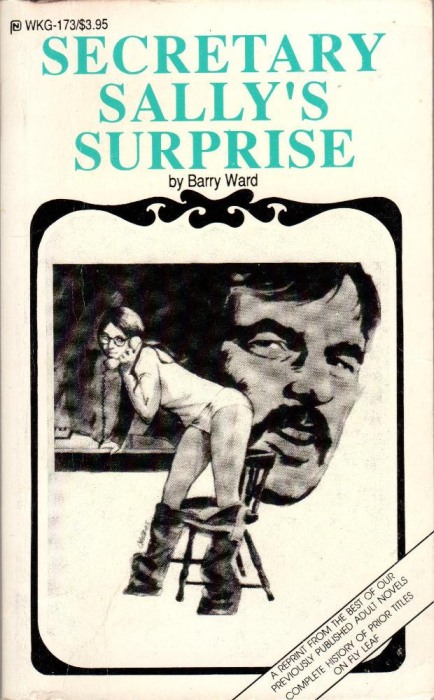 Secretary Sally's Surprise by Barry Ward - Ebook