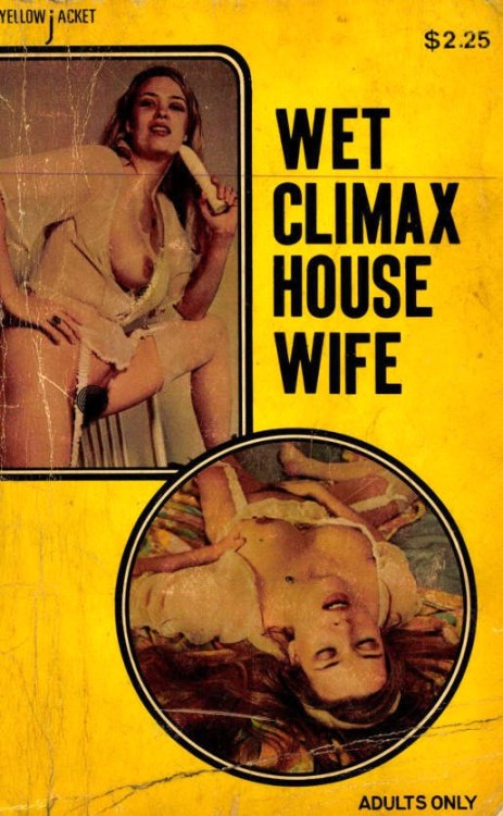 Wet Climax Housewife by John Brian - Ebook 