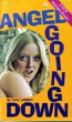Angel Going Down by Terry Lambert - Ebook 