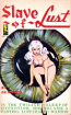 Slave Of Lust  by Carl DeMarco - Ebook