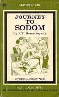Journey to Sodom by FT Hemmingway - Ebook 
