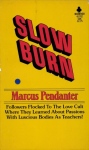 Slow Burn by Marcus Pendanter - Ebook 